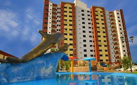 Golden Dolphin